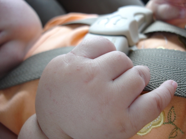 picking a baby car seat